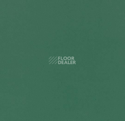 Линолеум Forbo Sarlon Colour 19dB 878T4319 dark green uni фото 1 | FLOORDEALER